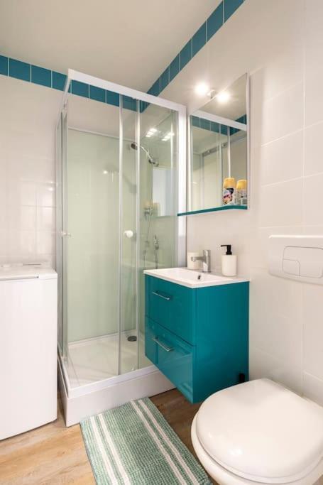 Studio Cosy Proche Du Centre + Parking Gratuit Cluses Luaran gambar
